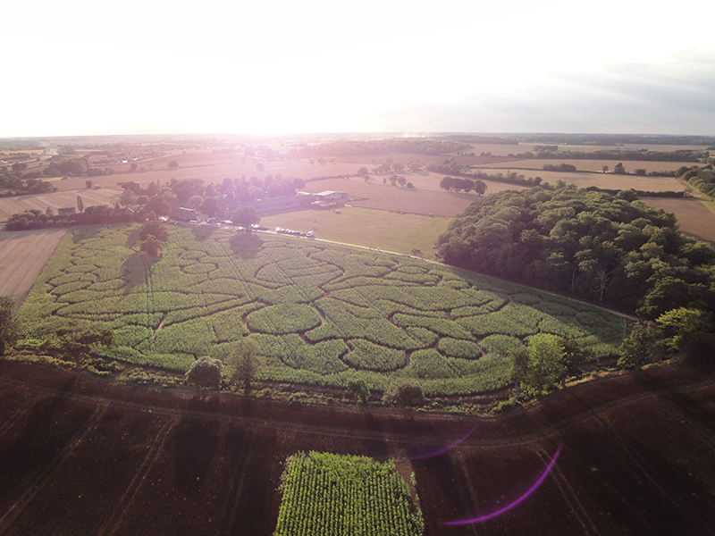 Every year Blake House Craft Centre grows a field of maize and in late summer it is tall enough to be cut to create a maze for visitors to walk in. There have been some great designs over the years and here are just a few that we have snapped on our Essex balloon rides from Blake House over the years.