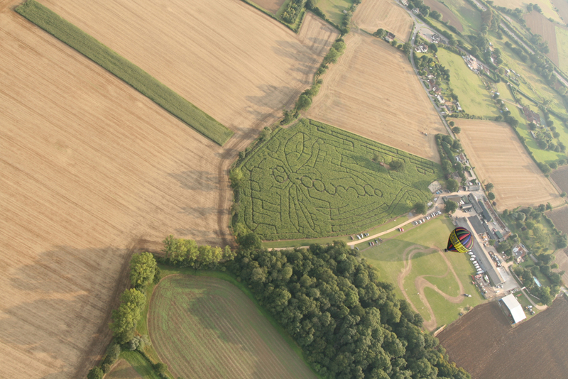 Every year when we take off on our Essex hot air balloon rides in the late summer from Blake House Craft Centre near&nbsp;Braintree&nbsp;we are treated to the spectacle of the maze, a popular visitor attraction. Every year the design cut into the maze is different. This is the 2013 maze.&nbsp;Click here&nbsp;to see some previous maze patterns over the years.